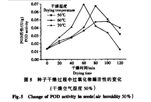 高溫干燥條件對白菜種子生命物質破壞